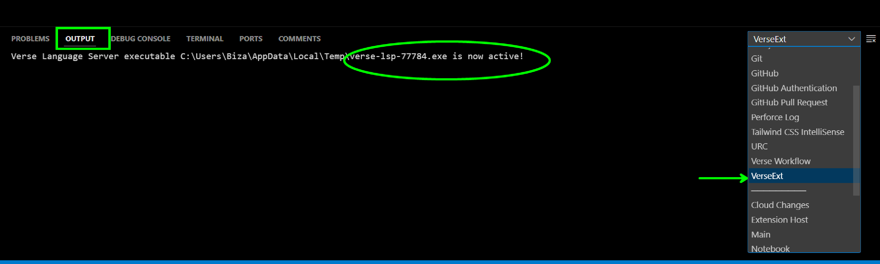 image-20241210100949284